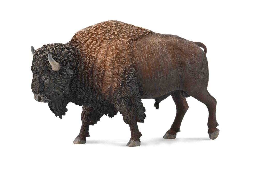AMERIKANISCHER BISON (XL)