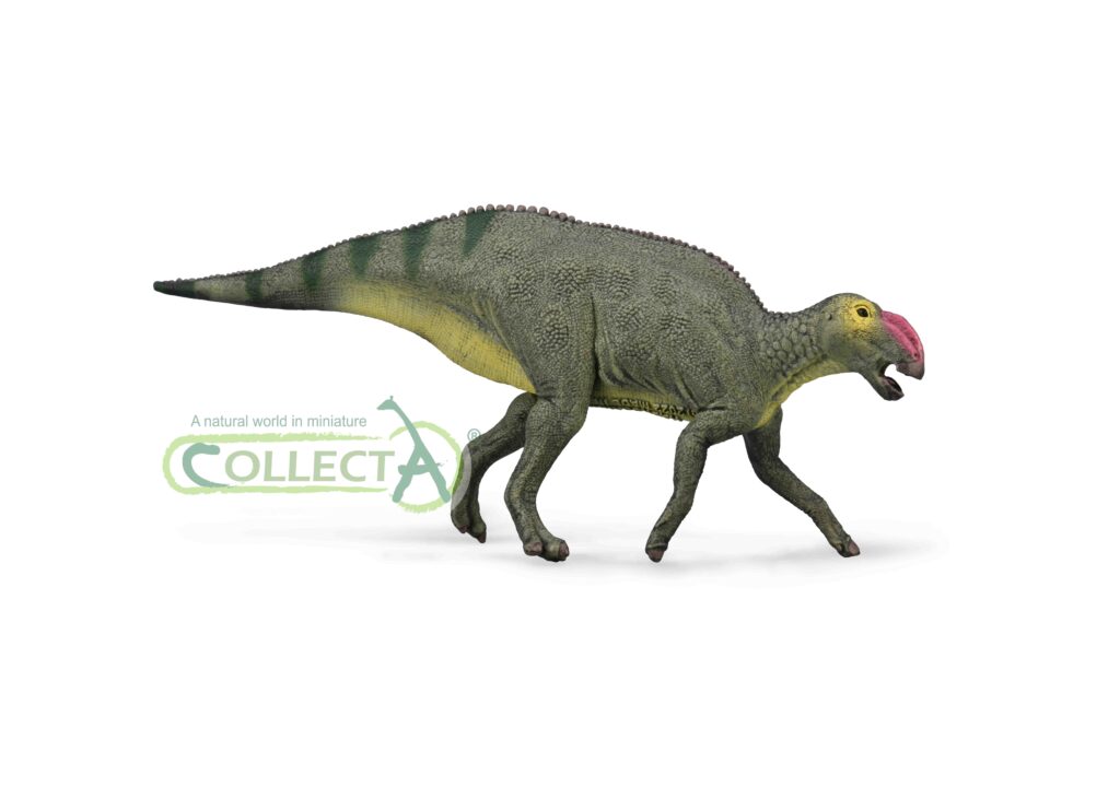 HADROSAURUS (M)