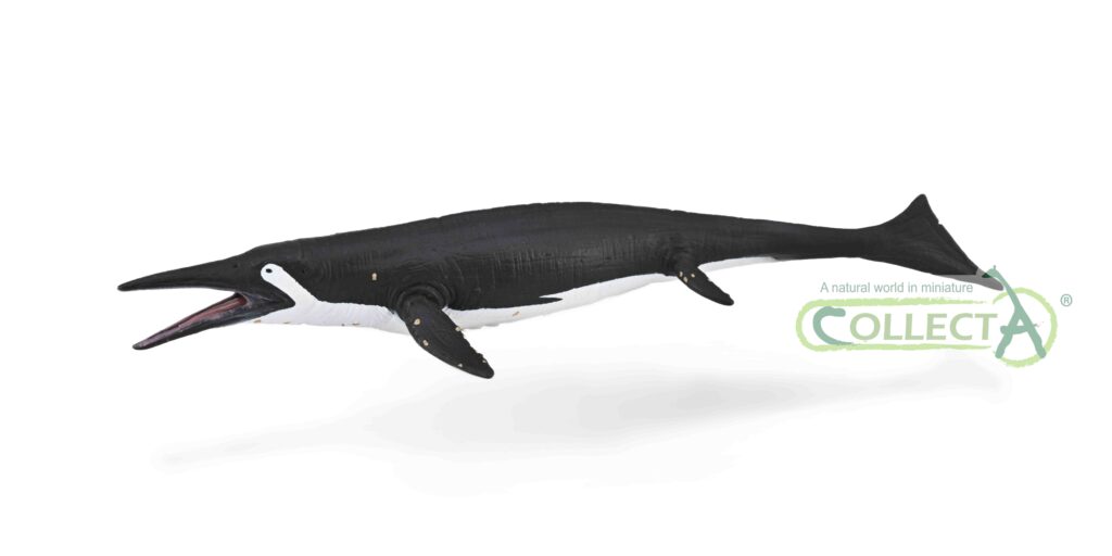 SHASTASAURUS (L)