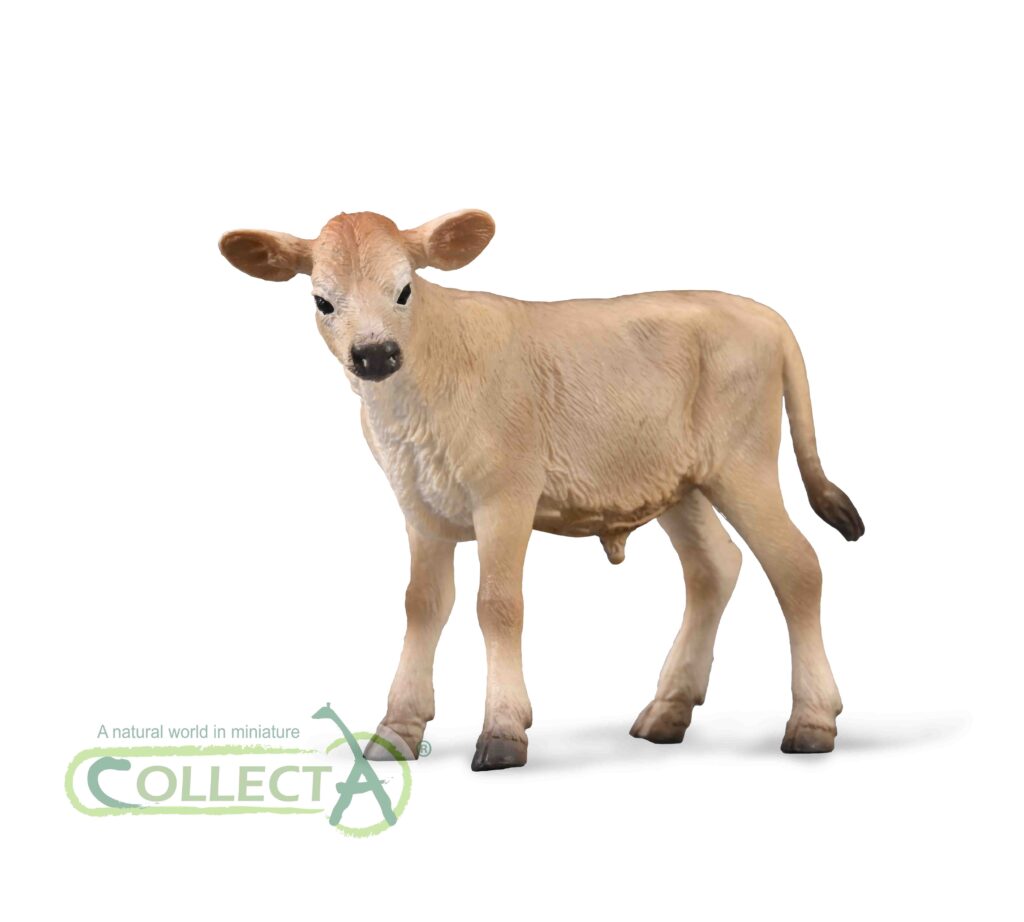 JERSEY KALB (S)