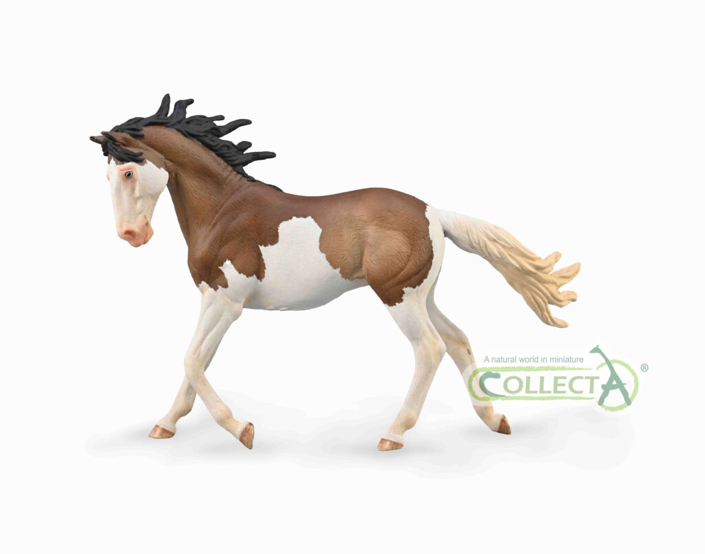 MUSTANG STUTE - BAY SPLASH OVERO (XL)
