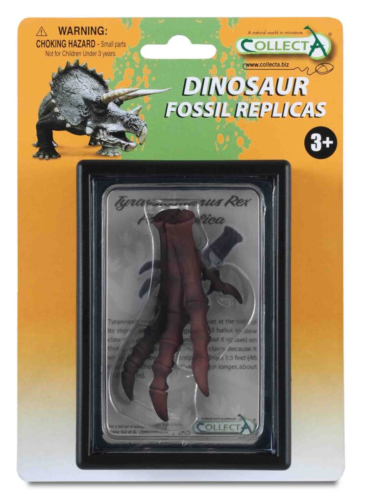 TYRANNOSAURUS FUSSNACHBILDUNG, Display-Kästchen