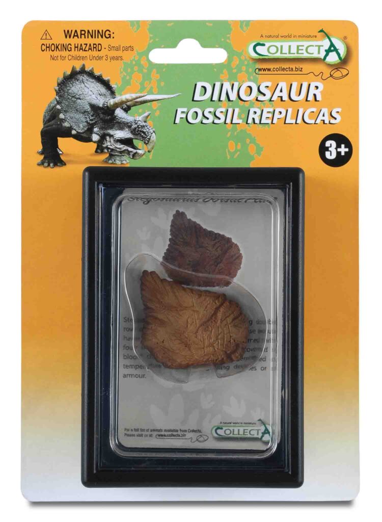 STEGOSAURUS FUSSNACHBILDUNG, Display-Kästchen