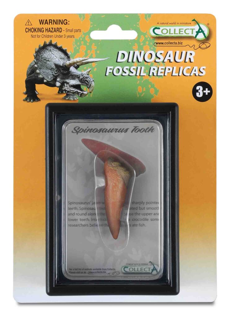SPINOSAURUS ZAHN, Display-Kästchen