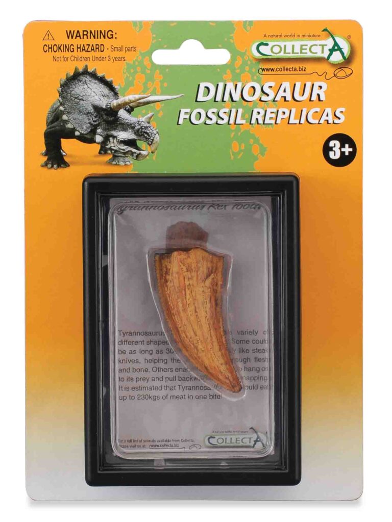 SEITENZAHN DES T-REX