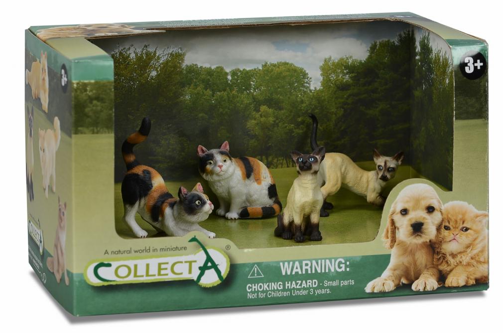 * 4 ST HUNDE UND KATZEN SET OPEN BOX